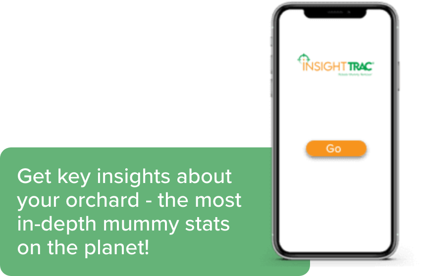 Group 22@2x Phone with InsightTRAC app. Get key insights about your orchard