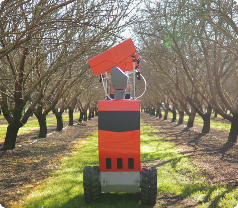Mummy Removal Robot moving down Almond Orchard